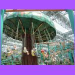 Swings In Camp Snoopy.jpg